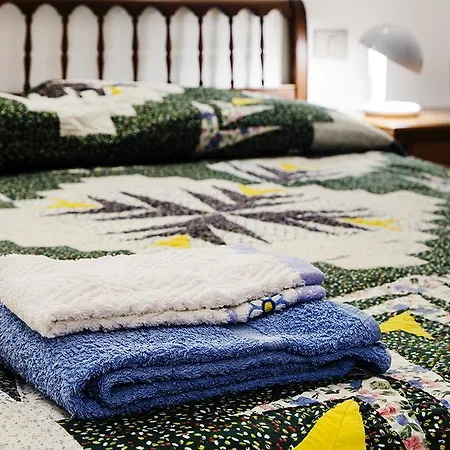 曼佐尼公寓 公寓 利卡斯戴勒