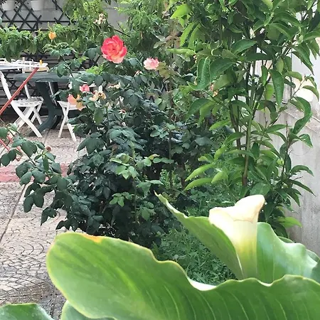 Manzoni Apartment Le Castella (Calabria)