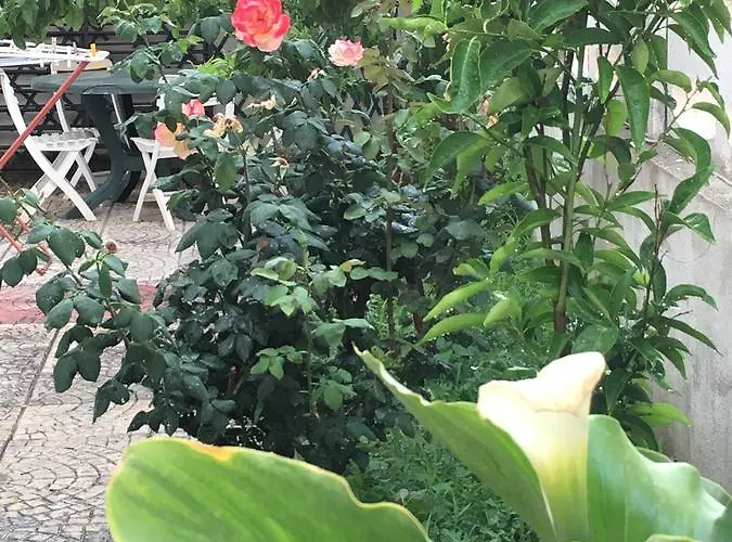 Manzoni Lägenhet Le Castella (Calabria)